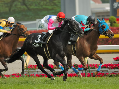 2006/05/06 東京10R