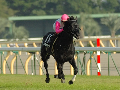 2006/10/15 東京10R
