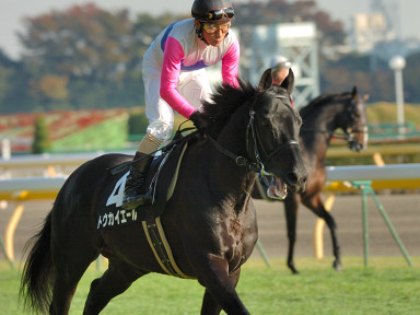 2006/11/25 東京10R