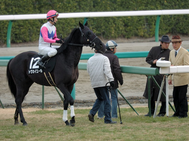 2008/01/20 中山10R