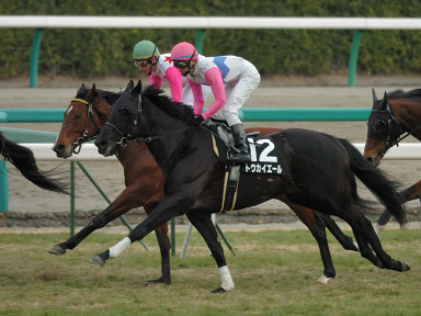 2008/01/20 中山10R