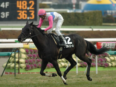 2008/01/20 中山10R
