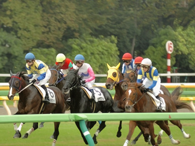 2008/11/08 東京04R