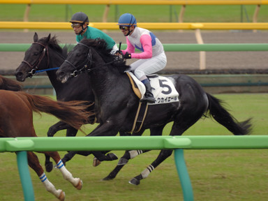 2008/11/08 東京04R