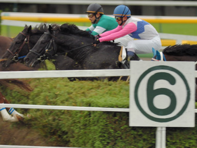 2008/11/08 東京04R