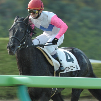 2008/11/29 東京04R
