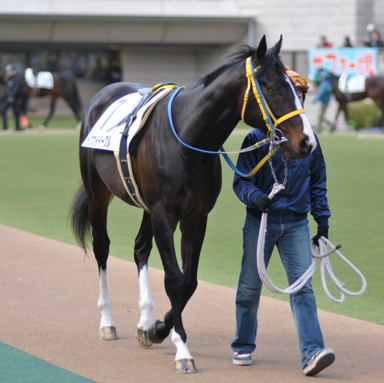 2011/02/19 @“Œ‹ž07R