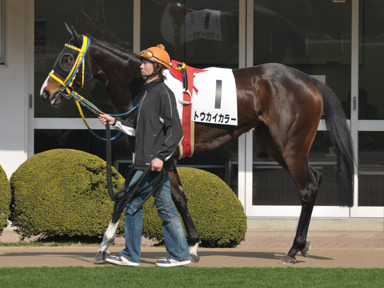 2011/02/27 ���R08R