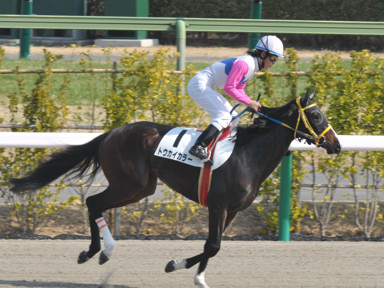 2011/02/27 ���R08R