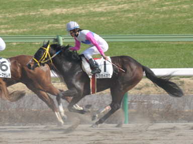 2011/02/27 ���R08R