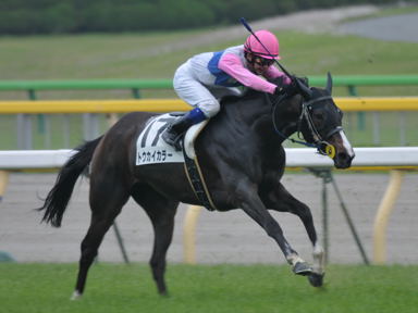 2011/06/11 ����07R