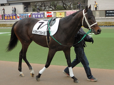 2006/02/12 東京08R