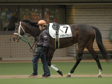 2006/02/12 東京08R