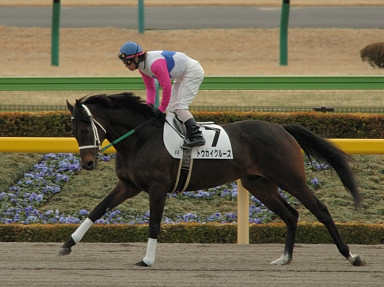 2006/02/12 東京08R