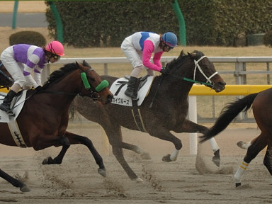 2006/02/12 東京08R