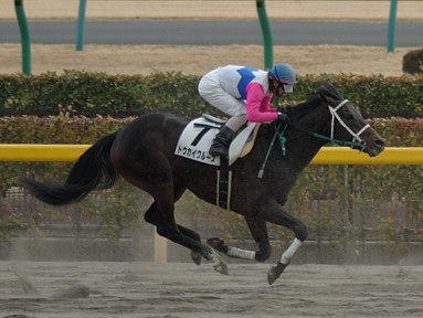 2006/02/12 東京08R
