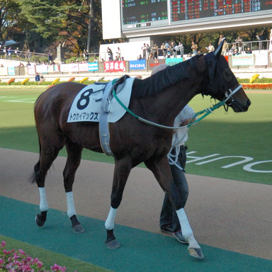 22007/11/18 東京08R
