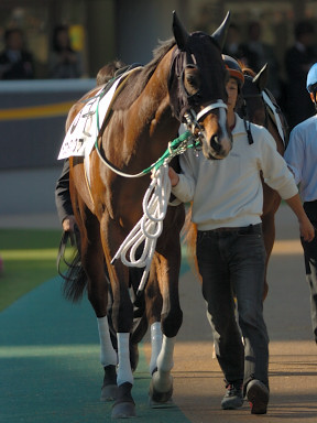 22007/11/18 東京08R