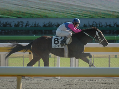 22007/11/18 東京08R