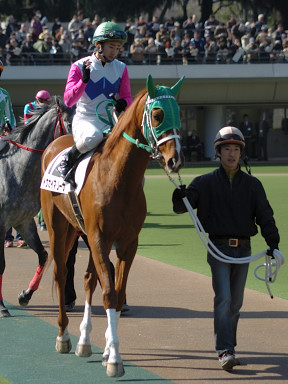 2008/02/11 東京08R