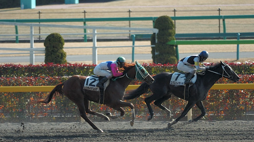 2008/02/11 東京08R