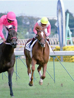 1999/10/17 東京07R