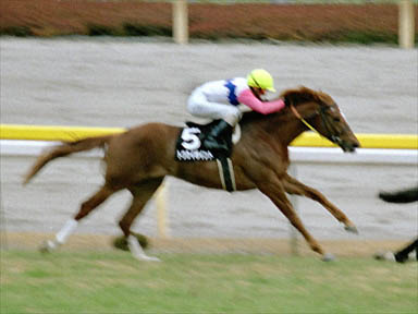 2000/02/13 東京10R