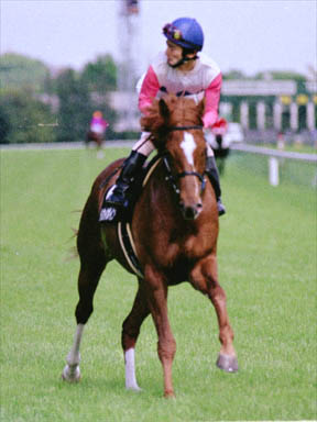 2000/04/29 東京09R
