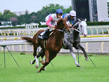 2000/04/29 東京09R