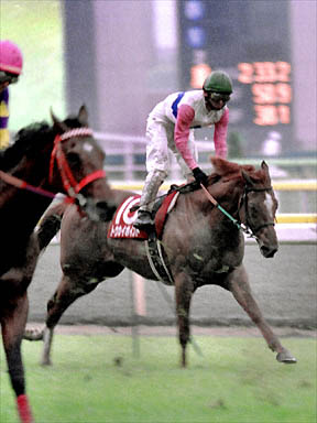 2000/05/20 東京11R