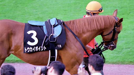 2001/10/06 東京11R