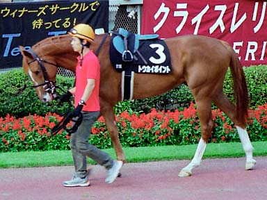 2001/10/06 東京11R
