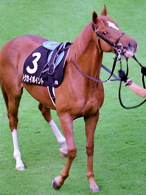 2001/10/06 東京11R