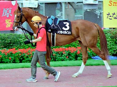 2001/10/06 東京11R