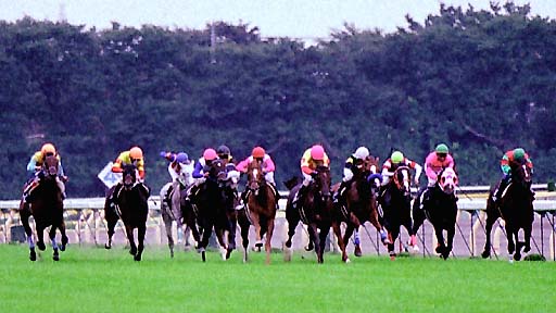 2001/10/06 東京11R