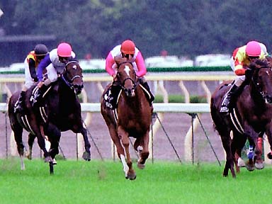 2001/10/06 東京11R