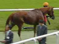 2001/10/06 東京11R