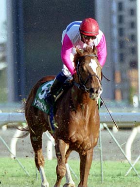 2002/01/05 東京11R
