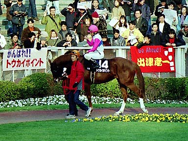 2002/02/02 東京11R