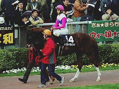 2002/02/02 東京11R