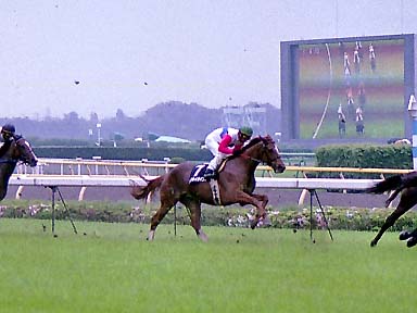 2002/04/21 東京10R