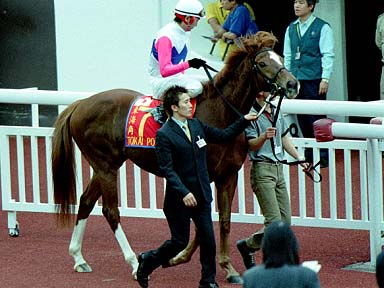 2002/12/15 沙田07R