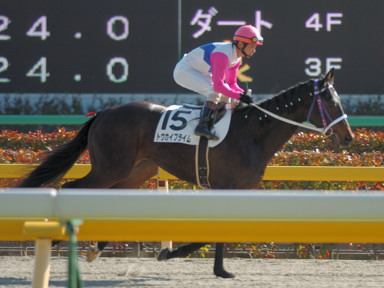 2009/02/08 東京08R