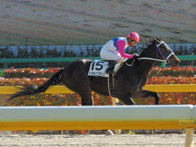 2009/02/08 東京08R