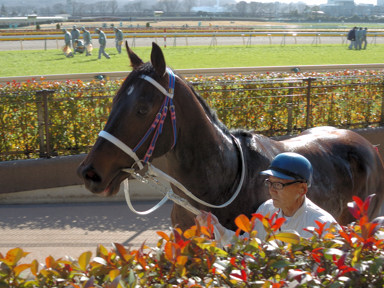 2009/02/08 東京08R