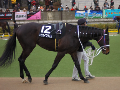 2010/02/21 東京12R
