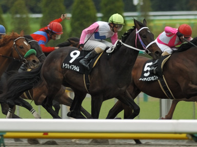 2010/04/24 東京10R