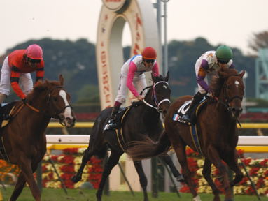 2010/11/27 東京11R