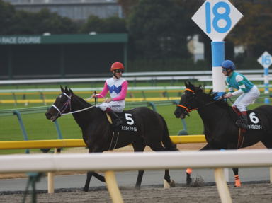 2010/11/27 東京11R