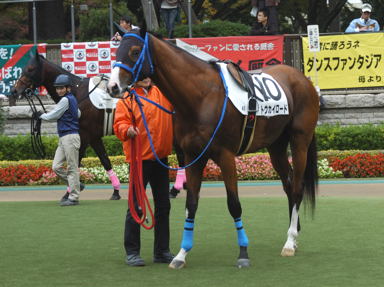 2010/11/14 東京04R